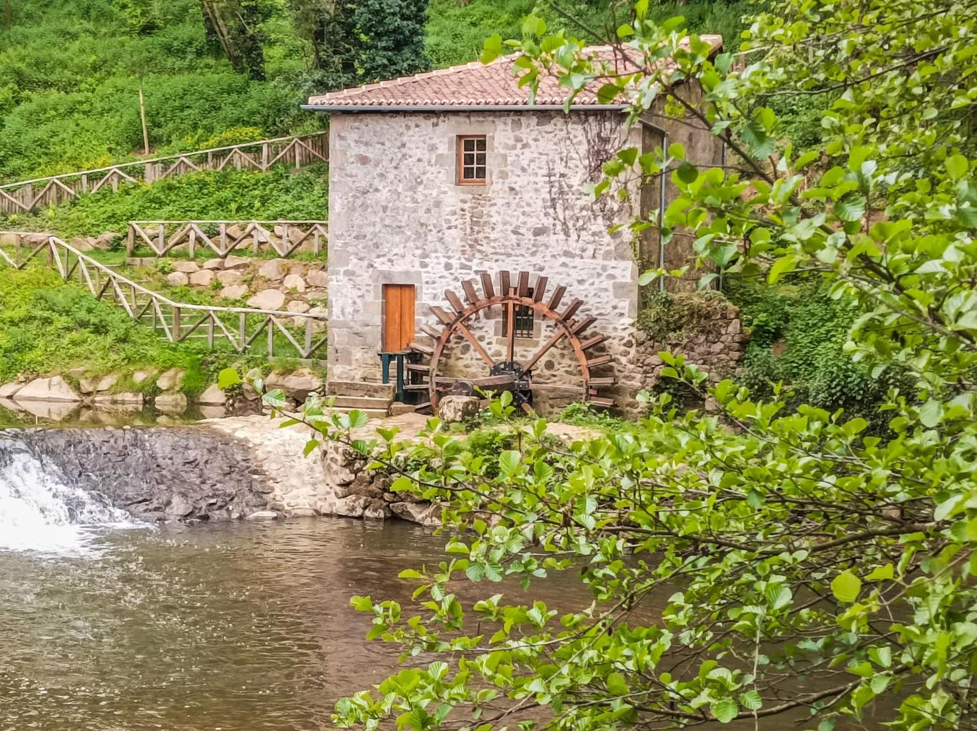 Manoir Des Arts Bed & Breakfast Confolens Exterior foto